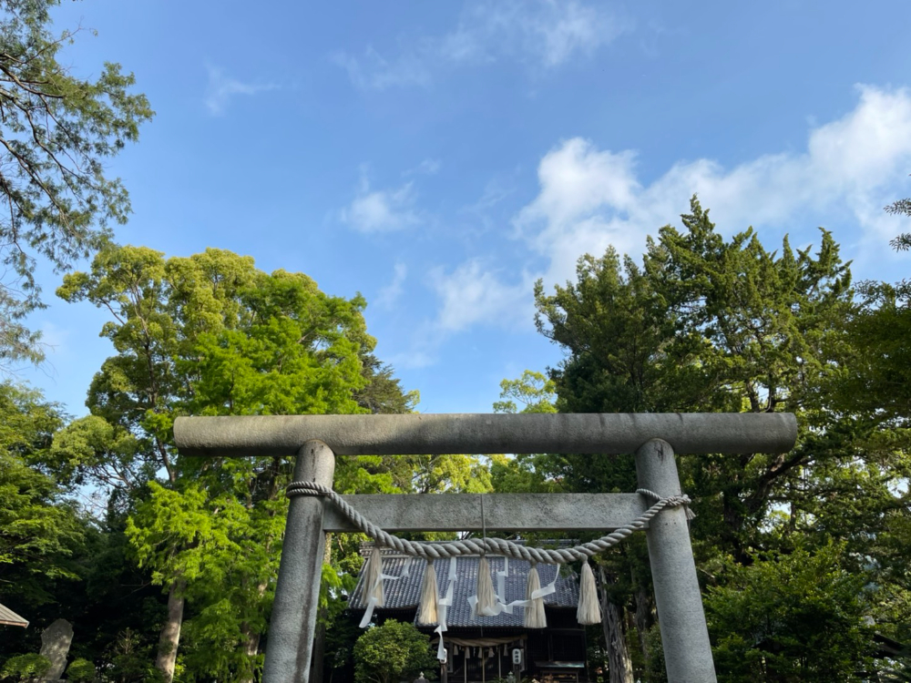 川津来宮神社（杉桙別命神社）】昔からの風習が残る神社 - COLUMN｜Izu